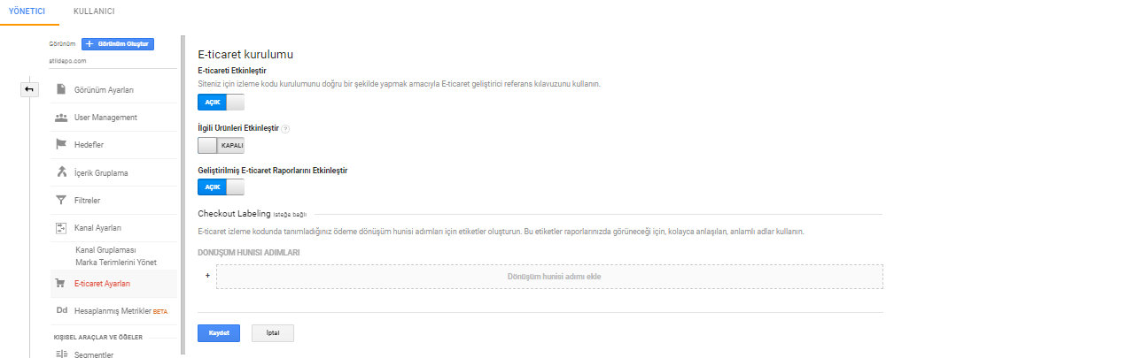 google analytics e-ticaret kurulumu